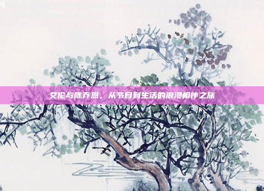 艾伦与陈乔恩，从节目到生活的浪漫相伴之旅