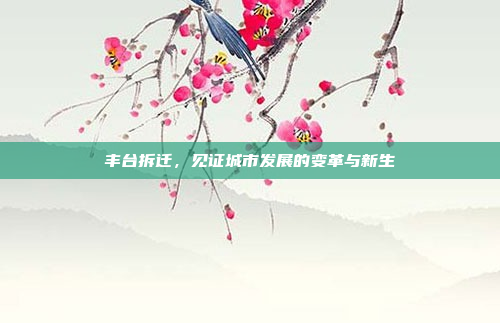 丰台拆迁，见证城市发展的变革与新生