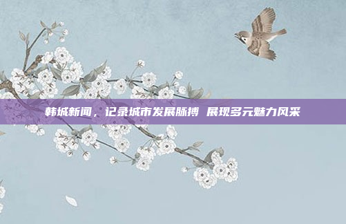 韩城新闻，记录城市发展脉搏 展现多元魅力风采