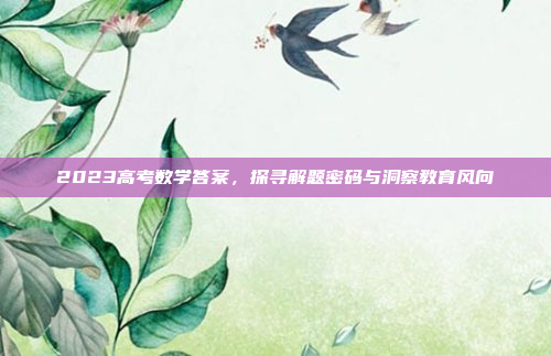 2023高考数学答案，探寻解题密码与洞察教育风向