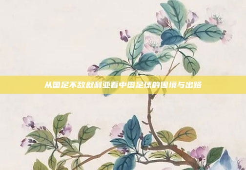 从国足不敌叙利亚看中国足球的困境与出路