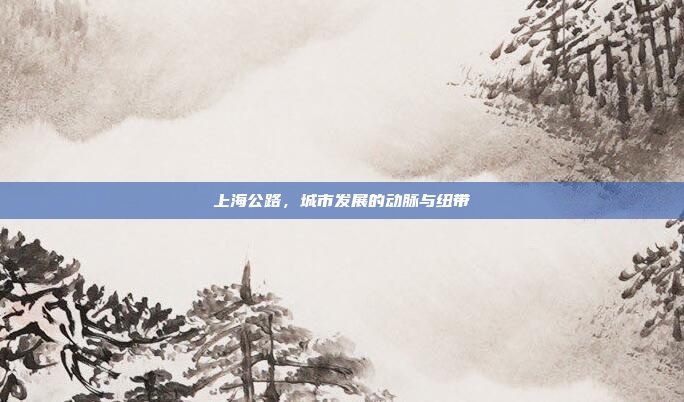 上海公路，城市发展的动脉与纽带