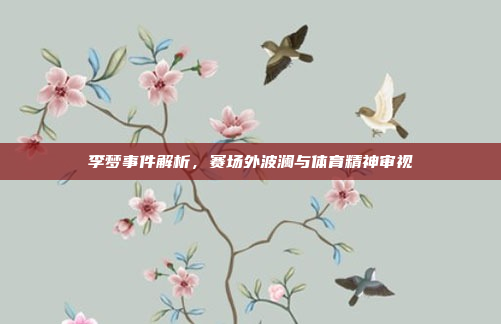 李梦事件解析，赛场外波澜与体育精神审视