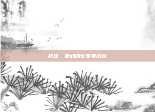 排球,跃动的梦想与激情 排球,跃动的梦想与激情