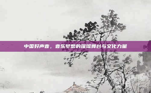 中国好声音,音乐梦想的璀璨舞台与文化力量 中国好声音,音乐梦想的璀璨舞台与文化力量