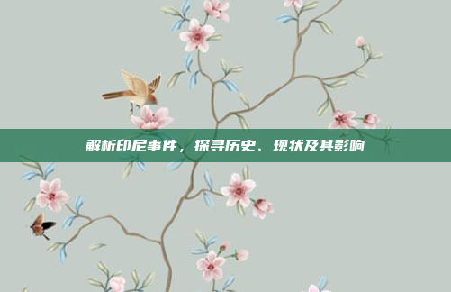解析印尼事件,探寻历史、现状及其影响 解析印尼事件,探寻历史、现状及其影响