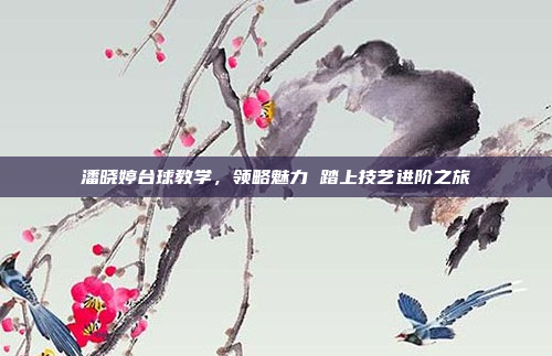 潘晓婷台球教学,领略魅力 踏上技艺进阶之旅 潘晓婷台球教学,领略魅力 踏上技艺进阶之旅