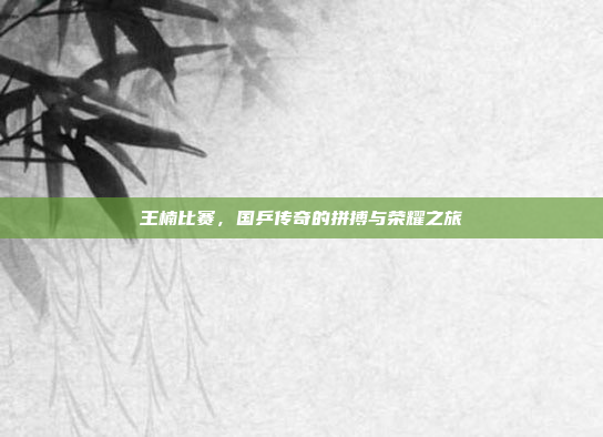 王楠比赛,国乒传奇的拼搏与荣耀之旅