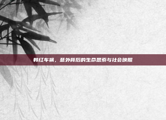 韩红车祸,意外背后的生命思索与社会映照 韩红车祸,意外背后的生命思索与社会映照