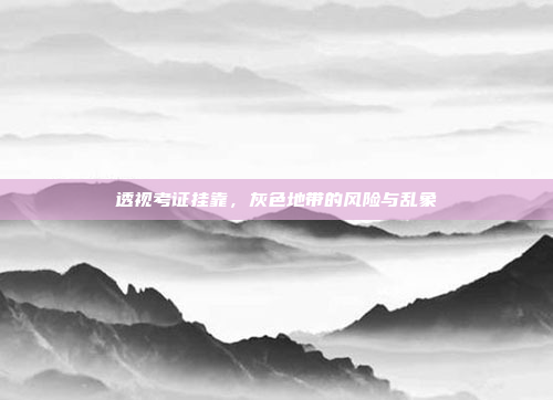 透视考证挂靠，灰色地带的风险与乱象