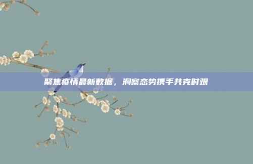 聚焦疫情最新数据,洞察态势携手共克时艰 聚焦疫情最新数据,洞察态势携手共克时艰