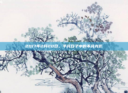 2017年2月20日,平凡日子中的不凡光影 2017年2月20日,平凡日子中的不凡光影