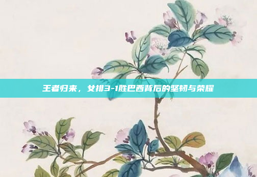 王者归来,女排3-1胜巴西背后的坚韧与荣耀 王者归来,女排3-1胜巴西背后的坚韧与荣耀