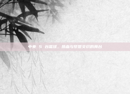 中央 5 台篮球,热血与梦想交织的舞台 中央 5 台篮球,热血与梦想交织的舞台