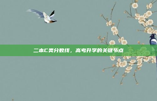 二本C类分数线,高考升学的关键节点