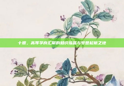 十堰,高等学府汇聚的知识摇篮与梦想起航之地 十堰,高等学府汇聚的知识摇篮与梦想起航之地