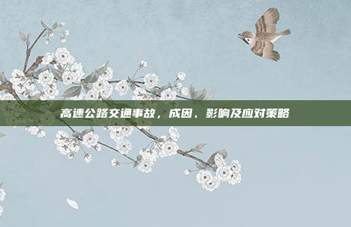 高速公路交通事故,成因、影响及应对策略 高速公路交通事故,成因、影响及应对策略