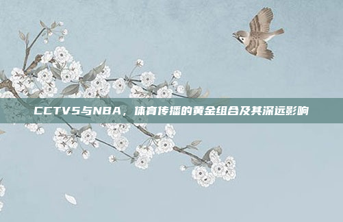 CCTV5与NBA,体育传播的黄金组合及其深远影响 CCTV5与NBA,体育传播的黄金组合及其深远影响