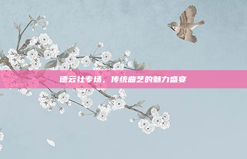 德云社专场,传统曲艺的魅力盛宴 德云社专场,传统曲艺的魅力盛宴