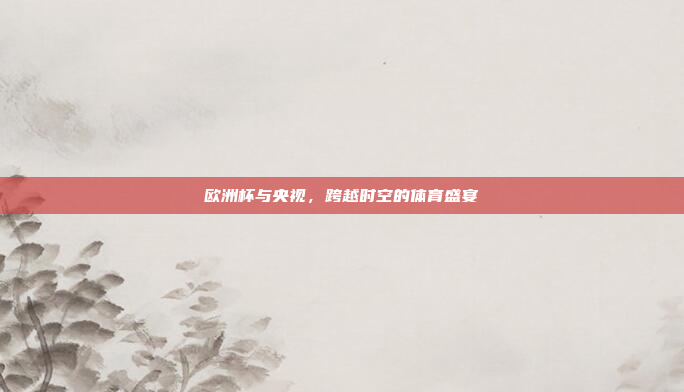 欧洲杯与央视,跨越时空的体育盛宴