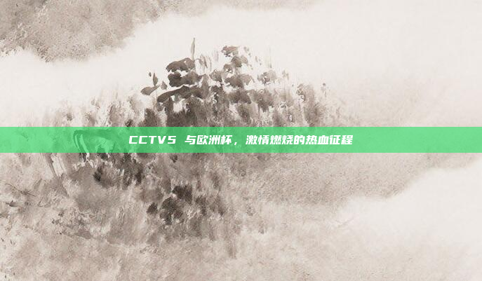 CCTV5 与欧洲杯,激情燃烧的热血征程