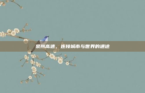 泉州高速,连接城市与世界的通途