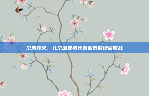 京城烽火,北京国安与长春亚泰的绿茵激战 京城烽火,北京国安与长春亚泰的绿茵激战