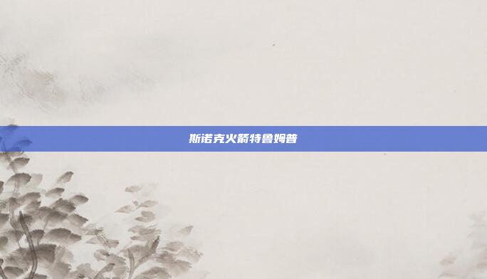 斯诺克火箭特鲁姆普 斯诺克火箭特鲁姆普