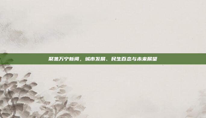 聚焦万宁新闻,城市发展、民生百态与未来展望 聚焦万宁新闻,城市发展、民生百态与未来展望