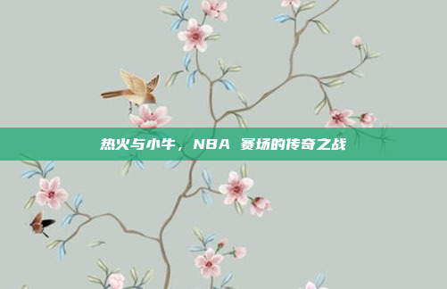 热火与小牛,NBA 赛场的传奇之战 热火与小牛,NBA 赛场的传奇之战