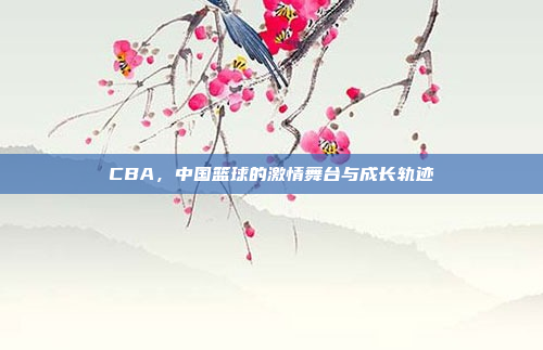 CBA，中国篮球的激情舞台与成长轨迹
