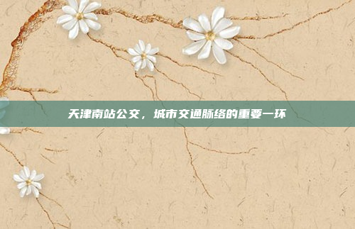 天津南站公交,城市交通脉络的重要一环