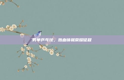 男单乒乓球，热血铸就荣耀征程