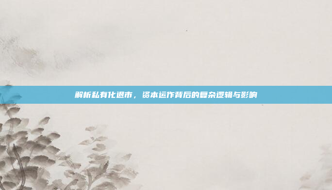 解析私有化退市，资本运作背后的复杂逻辑与影响