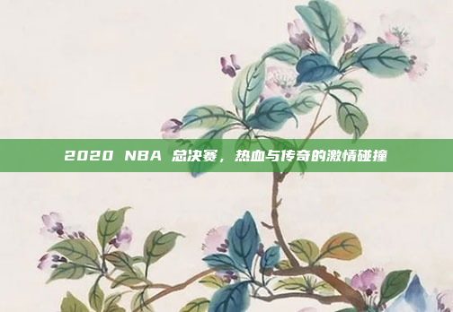 2020 NBA 总决赛，热血与传奇的激情碰撞