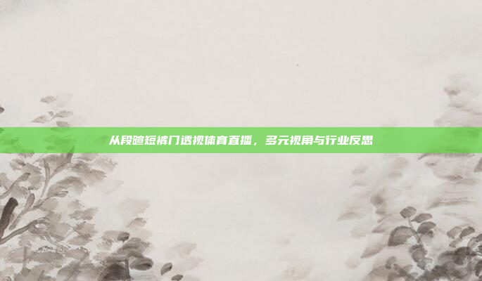 从段暄短裤门透视体育直播，多元视角与行业反思