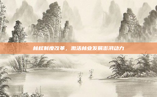 林权制度改革，激活林业发展澎湃动力