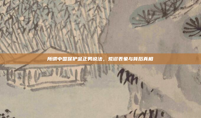 所谓中国保护金正男说法，荒谬表象与背后真相