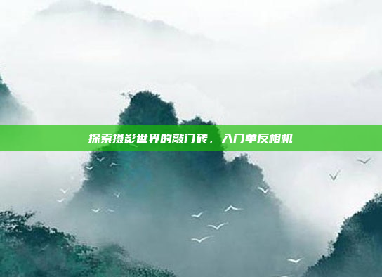 探索摄影世界的敲门砖，入门单反相机