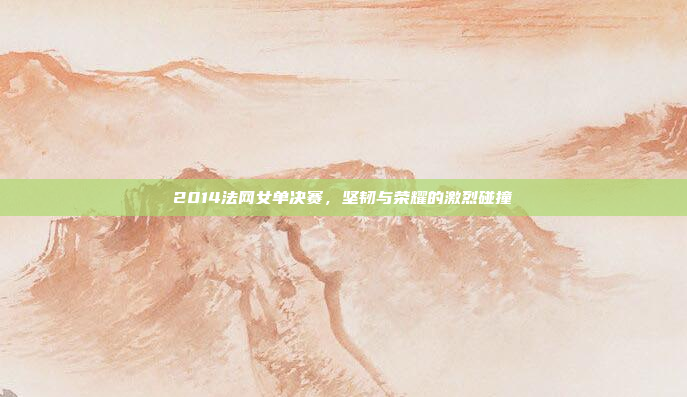 2014法网女单决赛，坚韧与荣耀的激烈碰撞