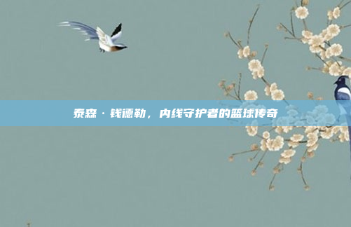 泰森·钱德勒，内线守护者的篮球传奇