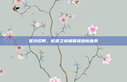 星沙招聘，机遇之城铺展就业新画卷
