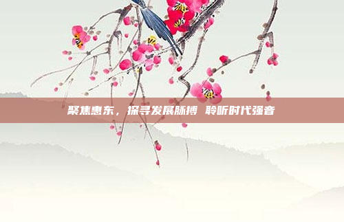 聚焦惠东，探寻发展脉搏 聆听时代强音