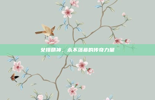 女排精神，永不落幕的传奇力量