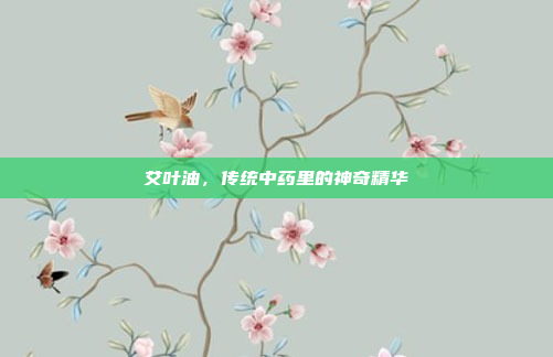 艾叶油，传统中药里的神奇精华