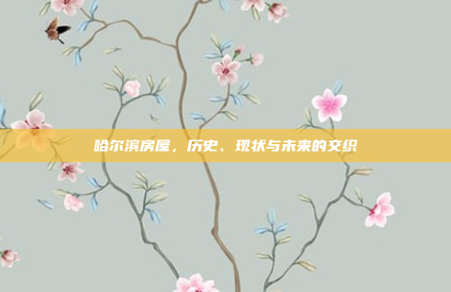 哈尔滨房屋，历史、现状与未来的交织