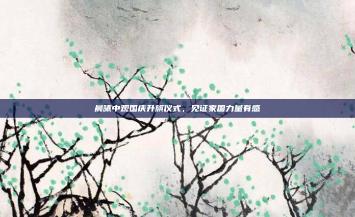 晨曦中观国庆升旗仪式，见证家国力量有感