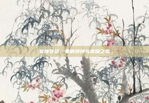 女排夺冠,奏响拼搏与荣耀之歌
