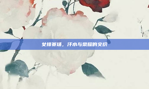 女排赛场，汗水与荣耀的交织