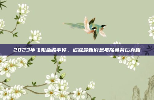 2023年飞机坠毁事件，追踪最新消息与探寻背后真相